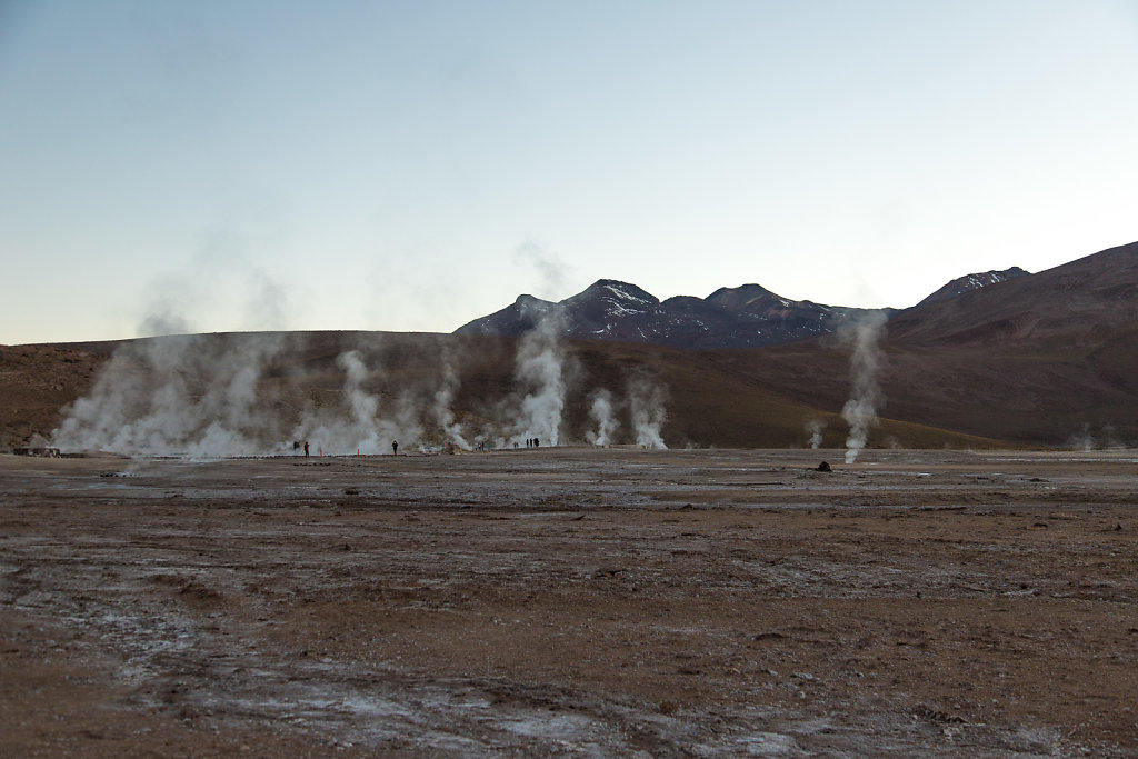 Gysire in der Atacama-Wüste